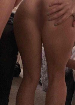 Chinchona Allie mostrando el culito