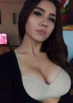 Linda zorra Sheiry Méndez